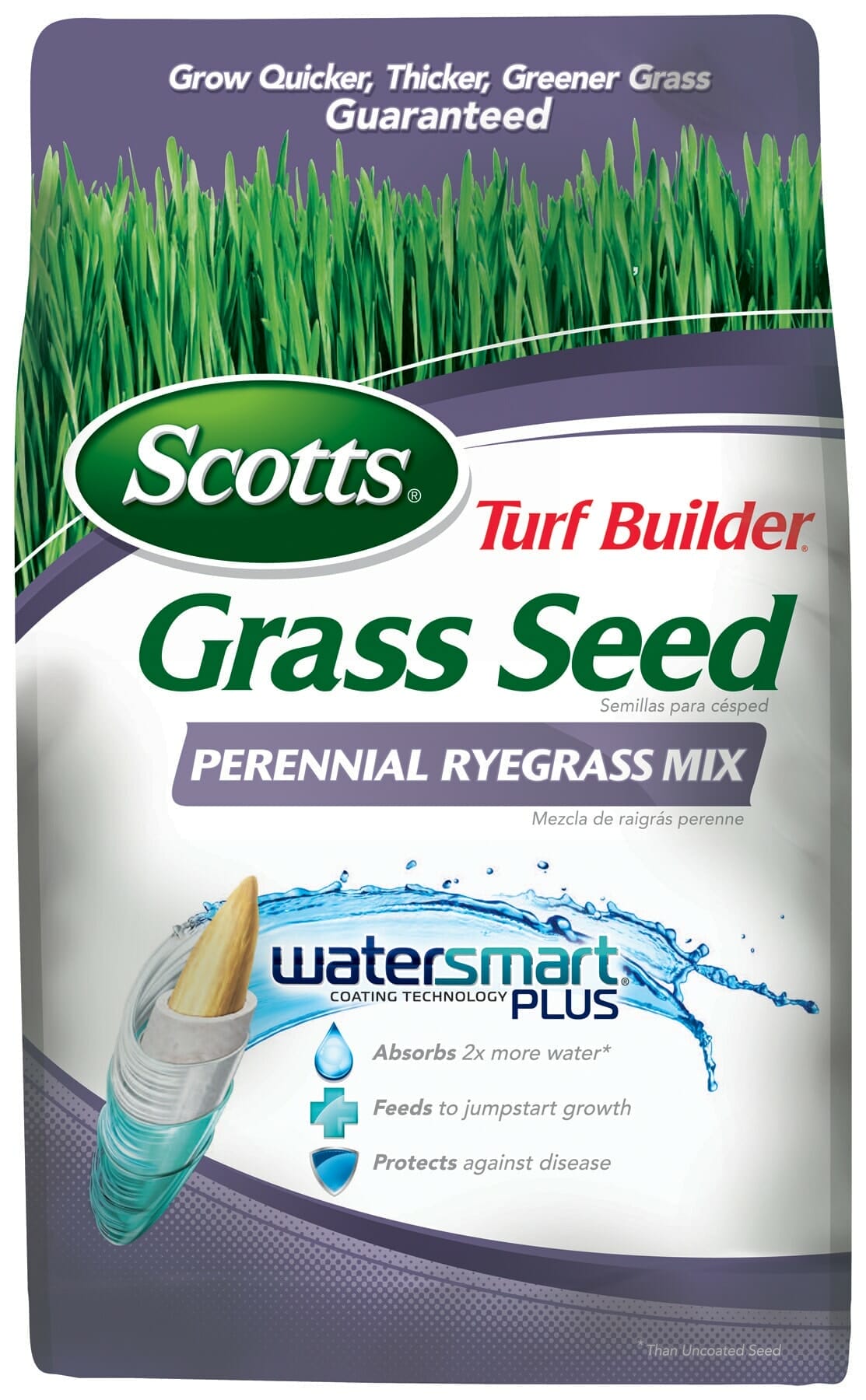 fertilizer for ryegrass 1