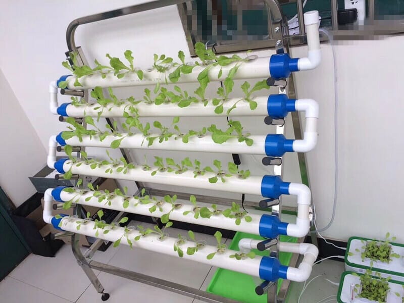 single plant hydroponic system 2
