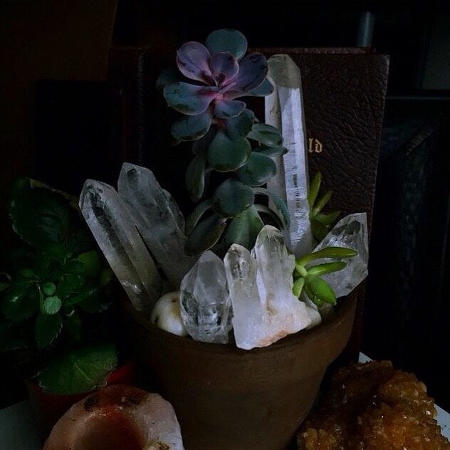 10 Best Crystals For Plants In 2023 The Wrench Finder