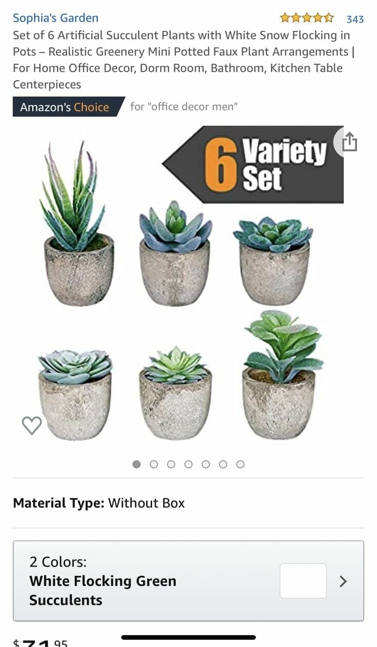 plants for dorm rooms 1