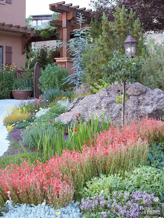 drought tolerant plants for colorado 2