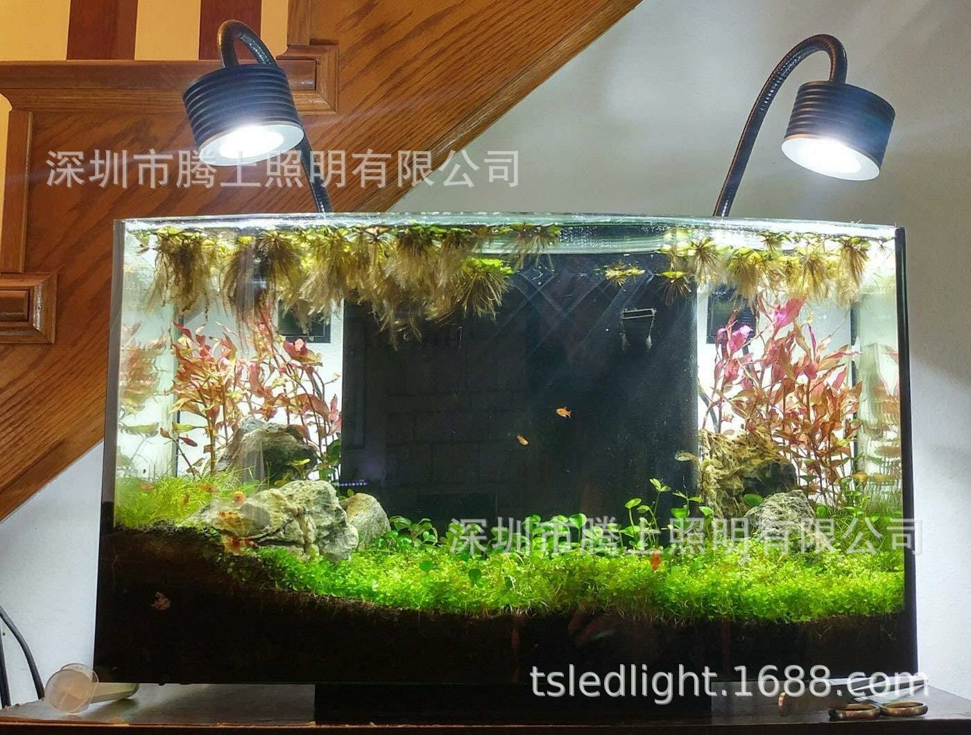 aquarium lights for planted tanks 2