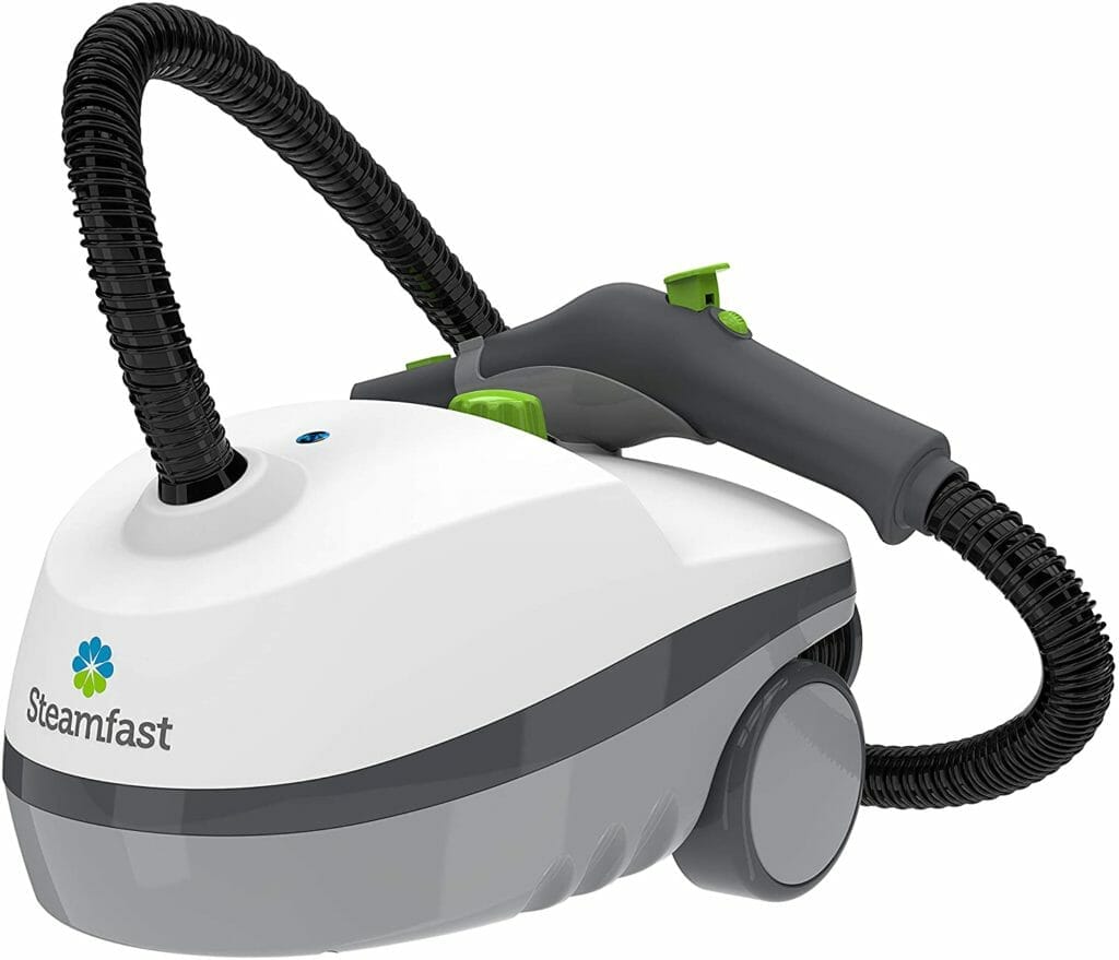 steam cleaner to kill bed bugs 1