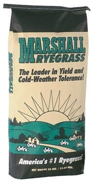fertilizer for marshall ryegrass 1