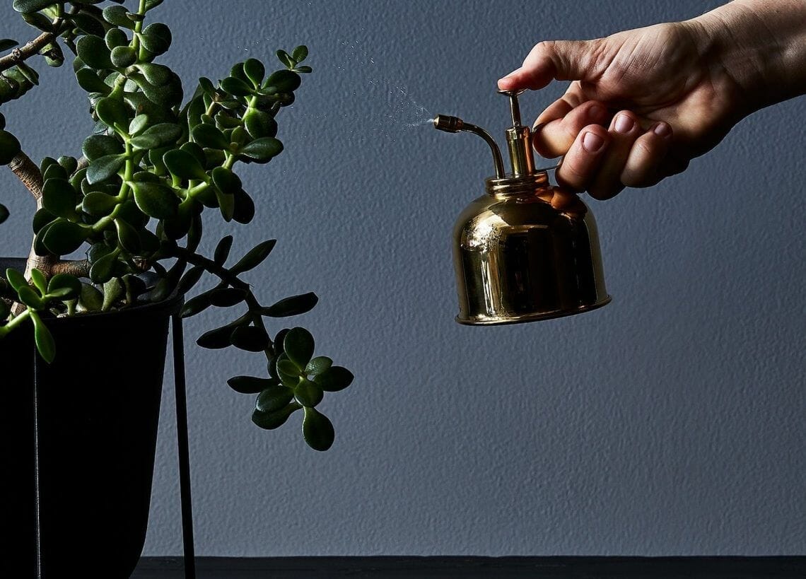 neem oil spray for plants 2