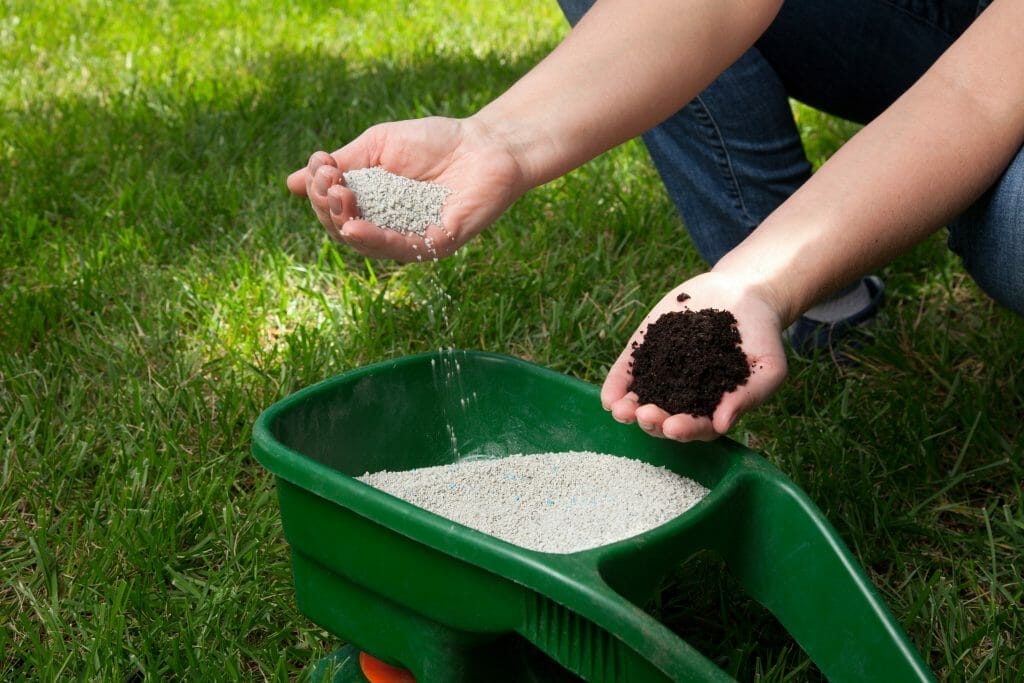 fertilizer for texas lawns 2