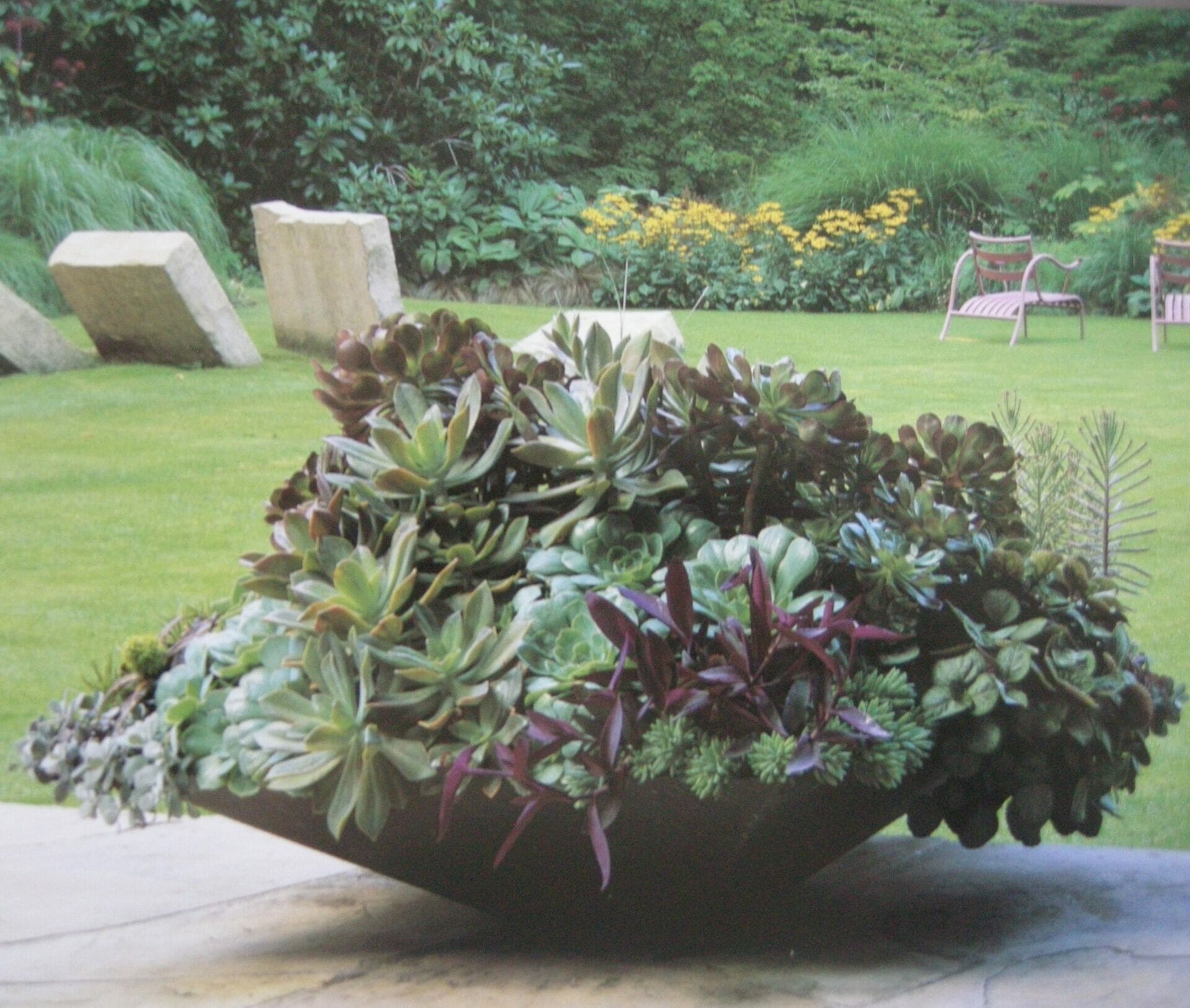 10 Best Plants For Shallow Pots In 2023 The Wrench Finder