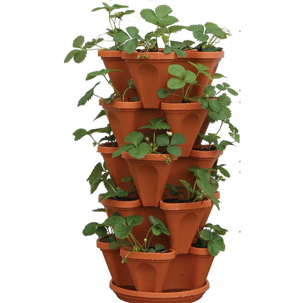 plants for stackable planters 2