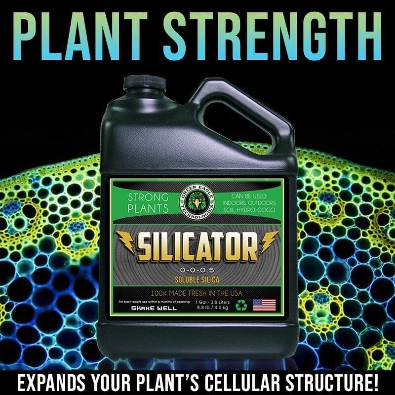 10 Best Silica For Plants In 2023 The Wrench Finder