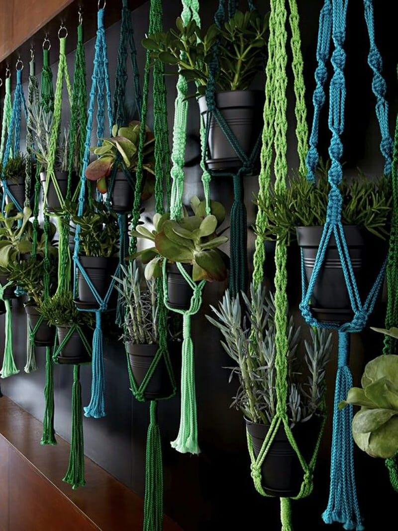 plants for macrame hangers 1
