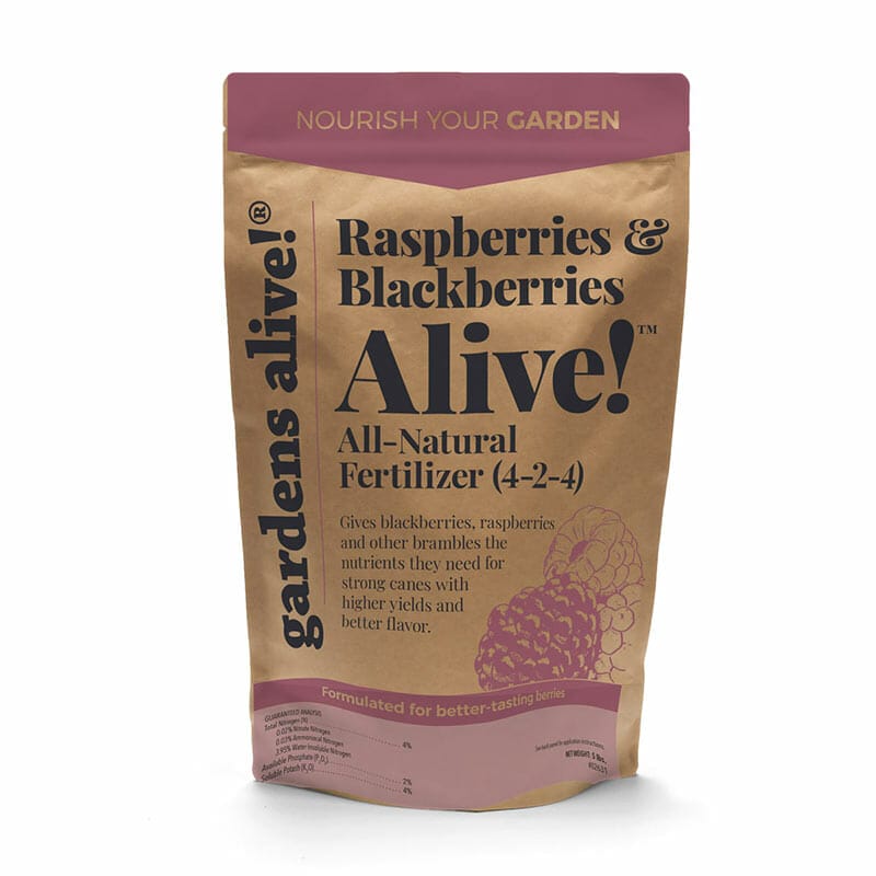fertilizer for raspberries 1