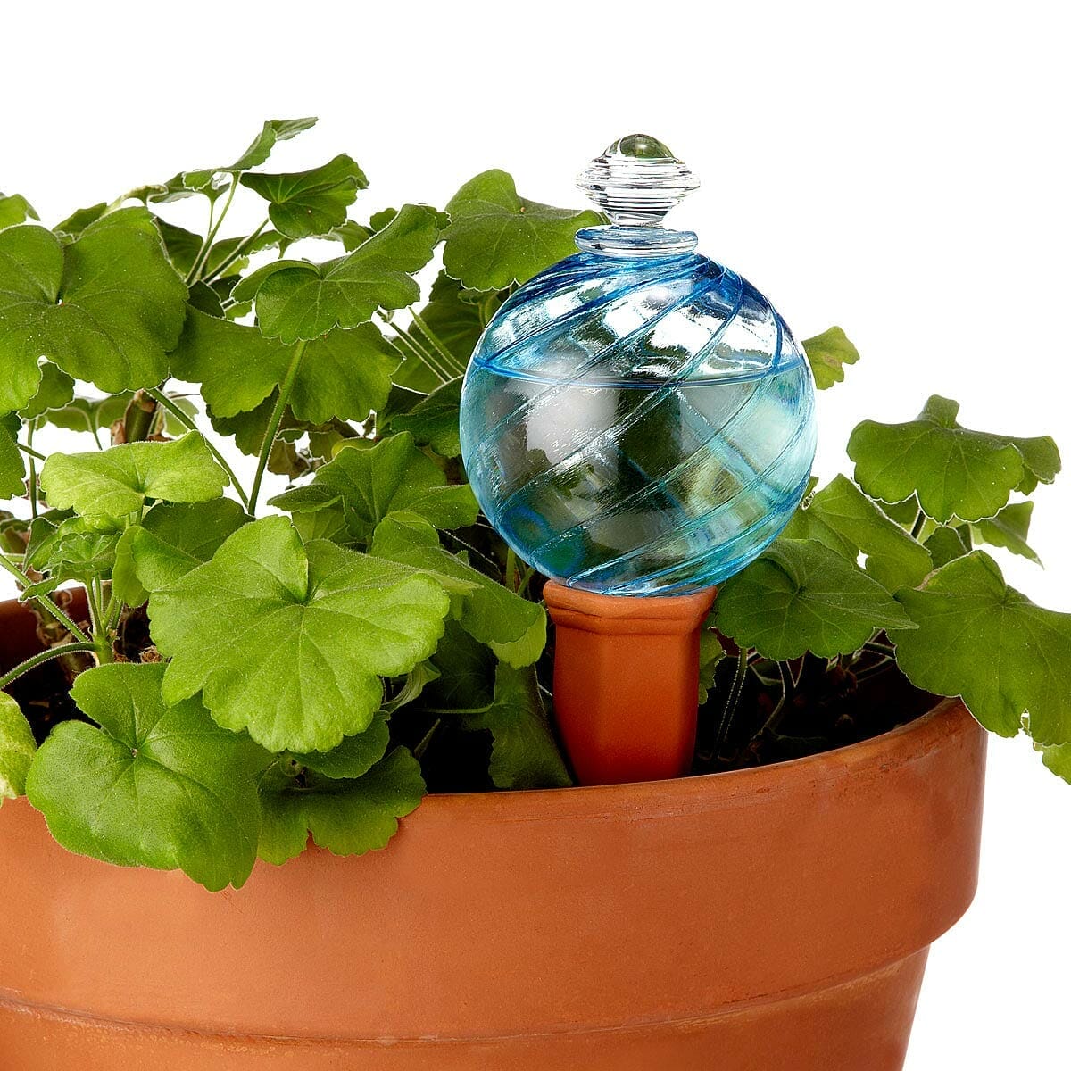 self watering globes 1