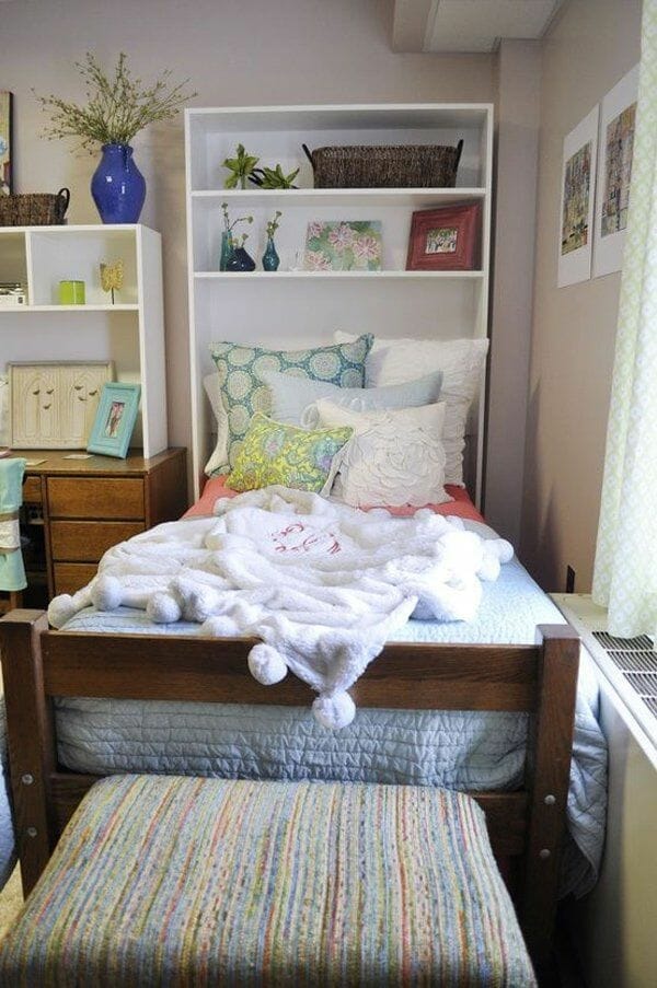 plants for college dorms 1