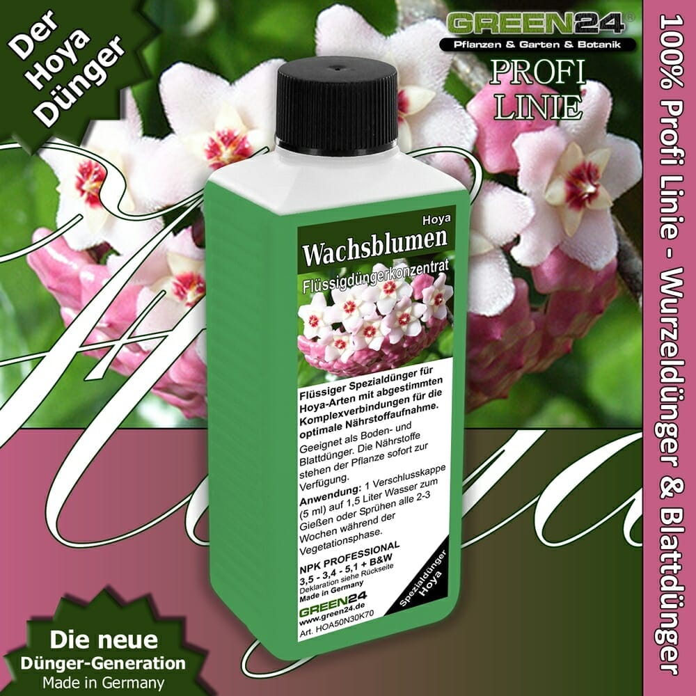 fertilizer for hoya plants 1