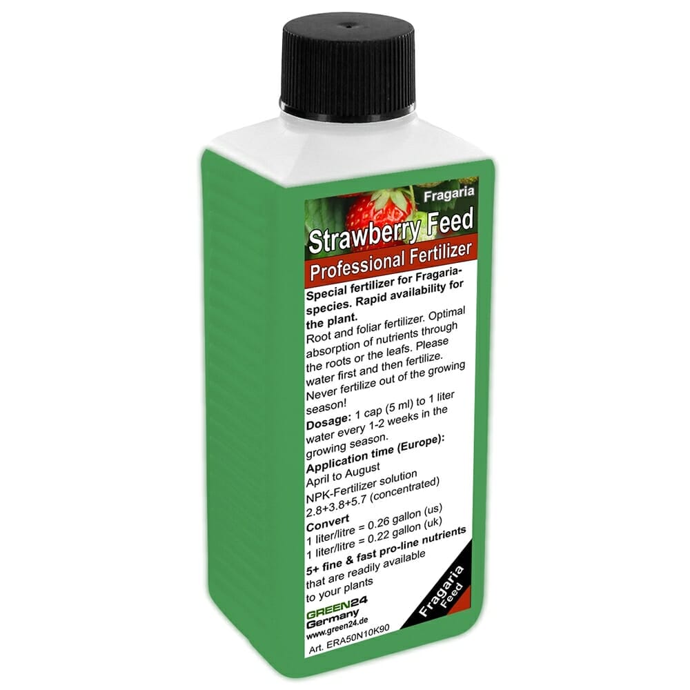 liquid fertilizer for strawberries 1