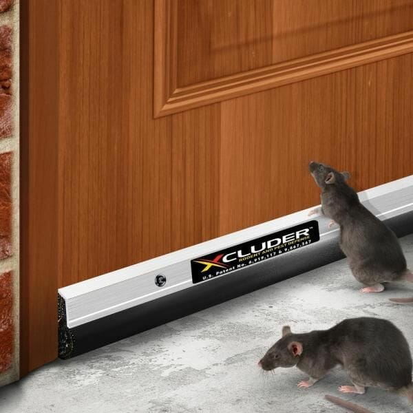10 Best Door Sweep To Keep Mice Out In 2023 The Wrench Finder