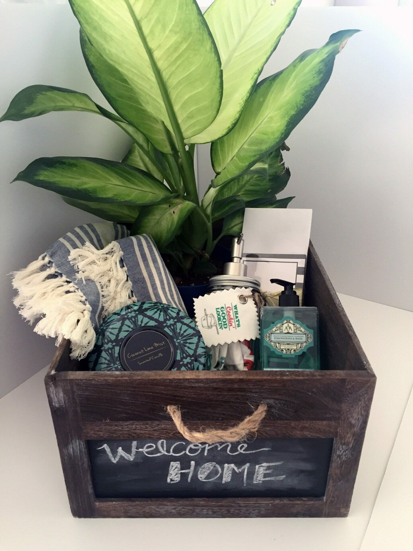 plant for housewarming gift 2