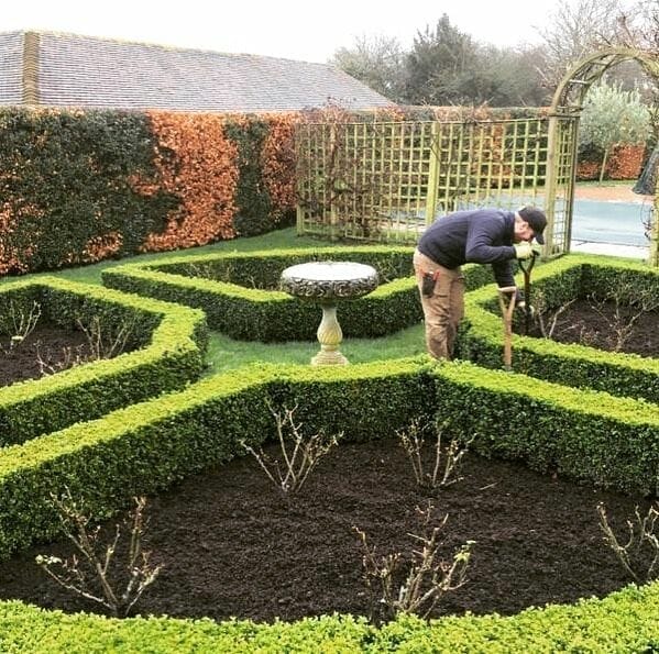 compost for flower beds 1