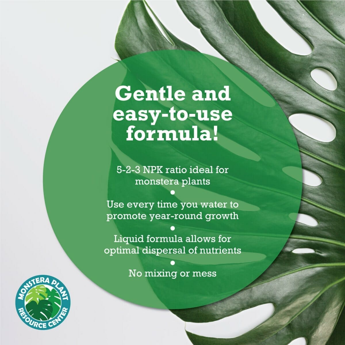 plant food for monstera 2