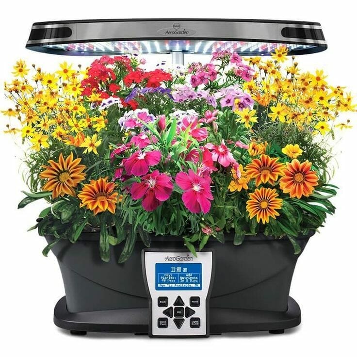 plants for aerogarden 1