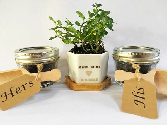 plant for unity ceremony 1