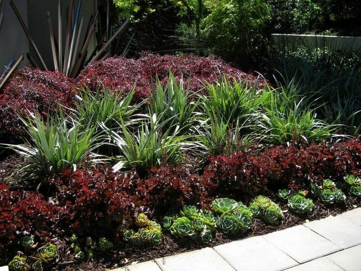 10 Best Plants For Driveway Entrance In 2023 The Wrench Finder