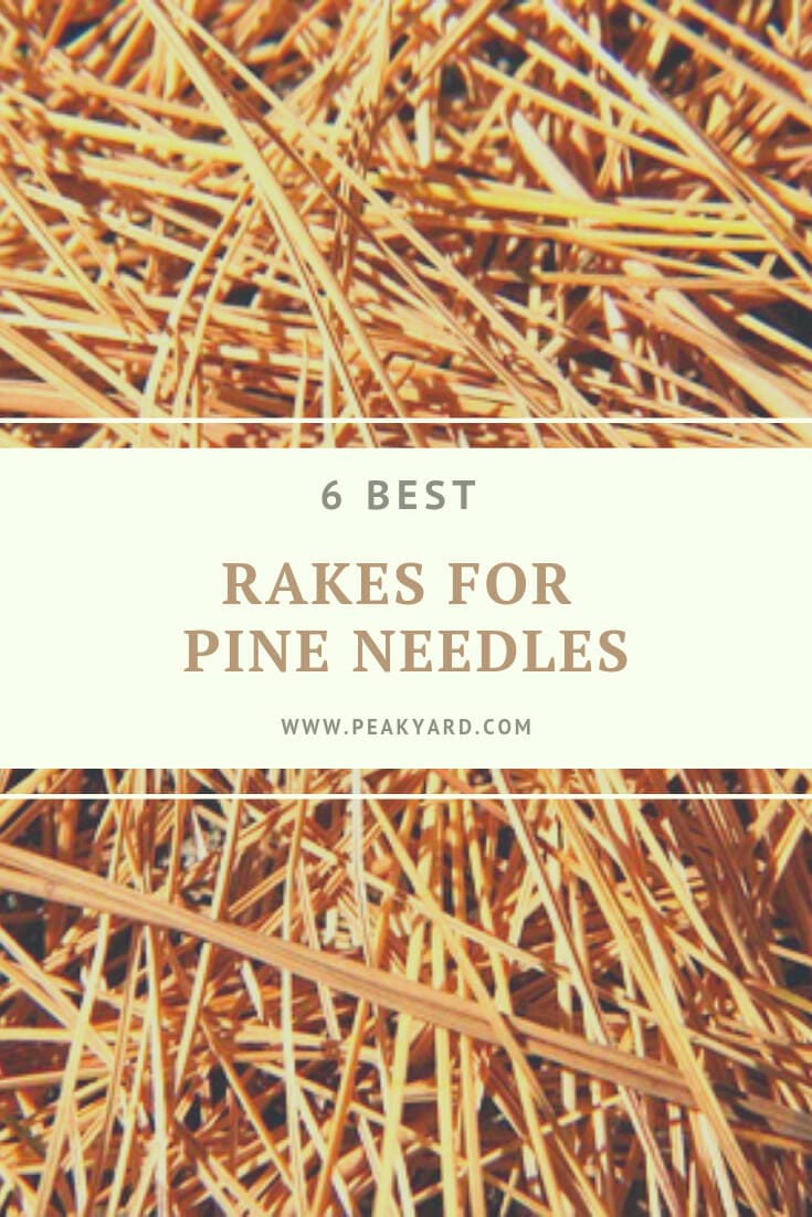 rake for pine needles 1