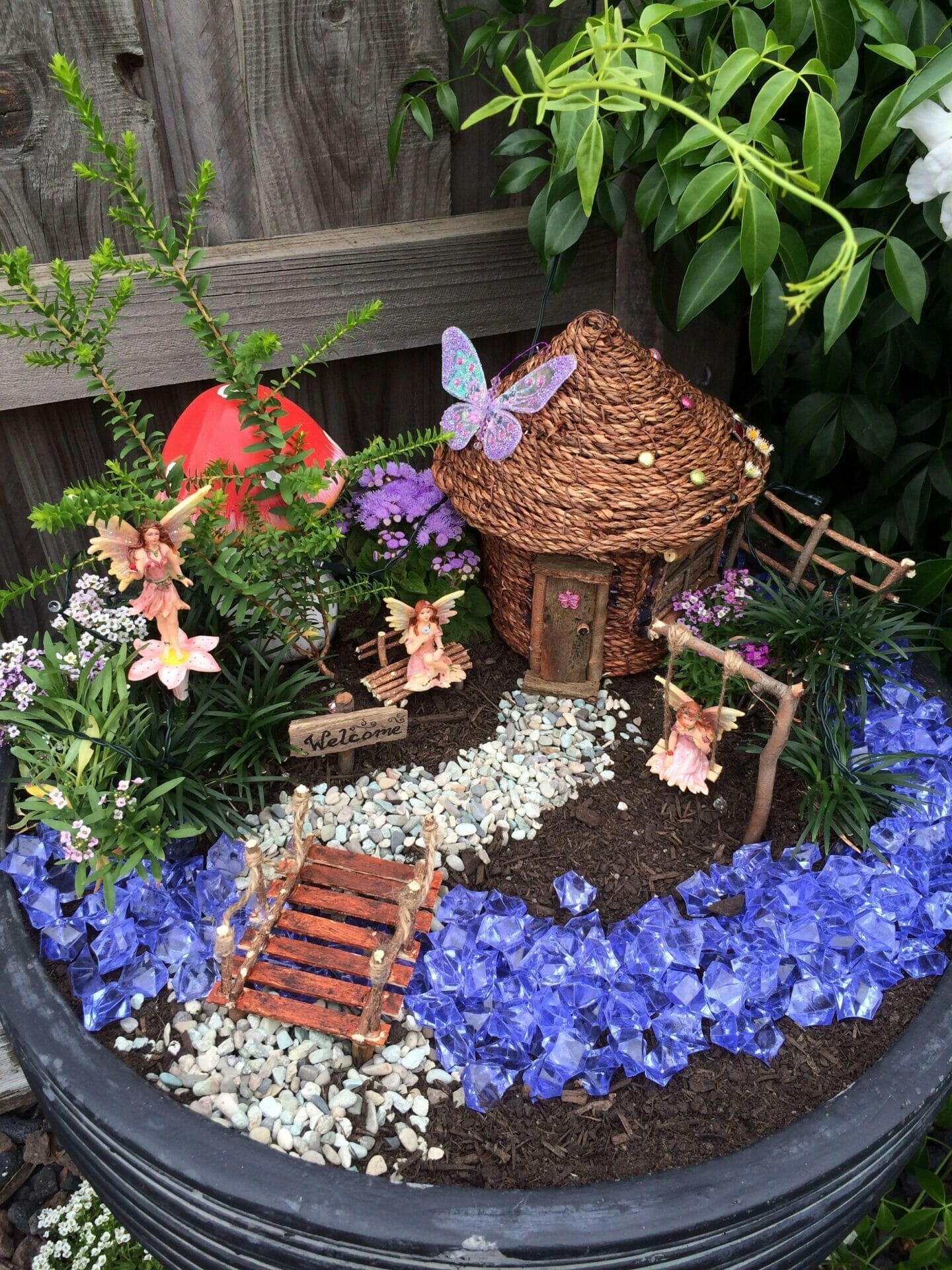 plants for fairy gardens 1