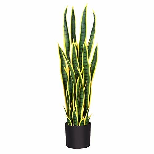 fake snake plant 1