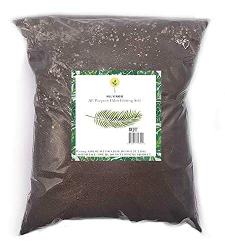 potting soil for palm plants 1