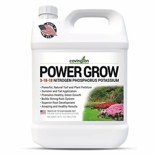liquid fertilizer for zoysia grass 2