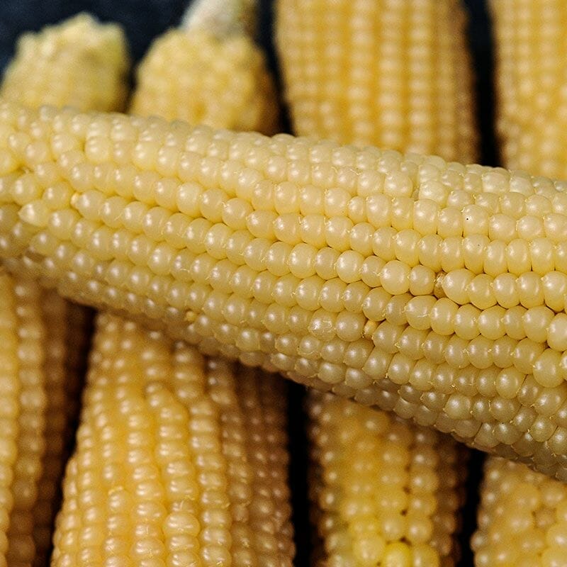 popcorn seeds to plant 2