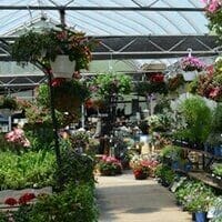 feeds garden center 1