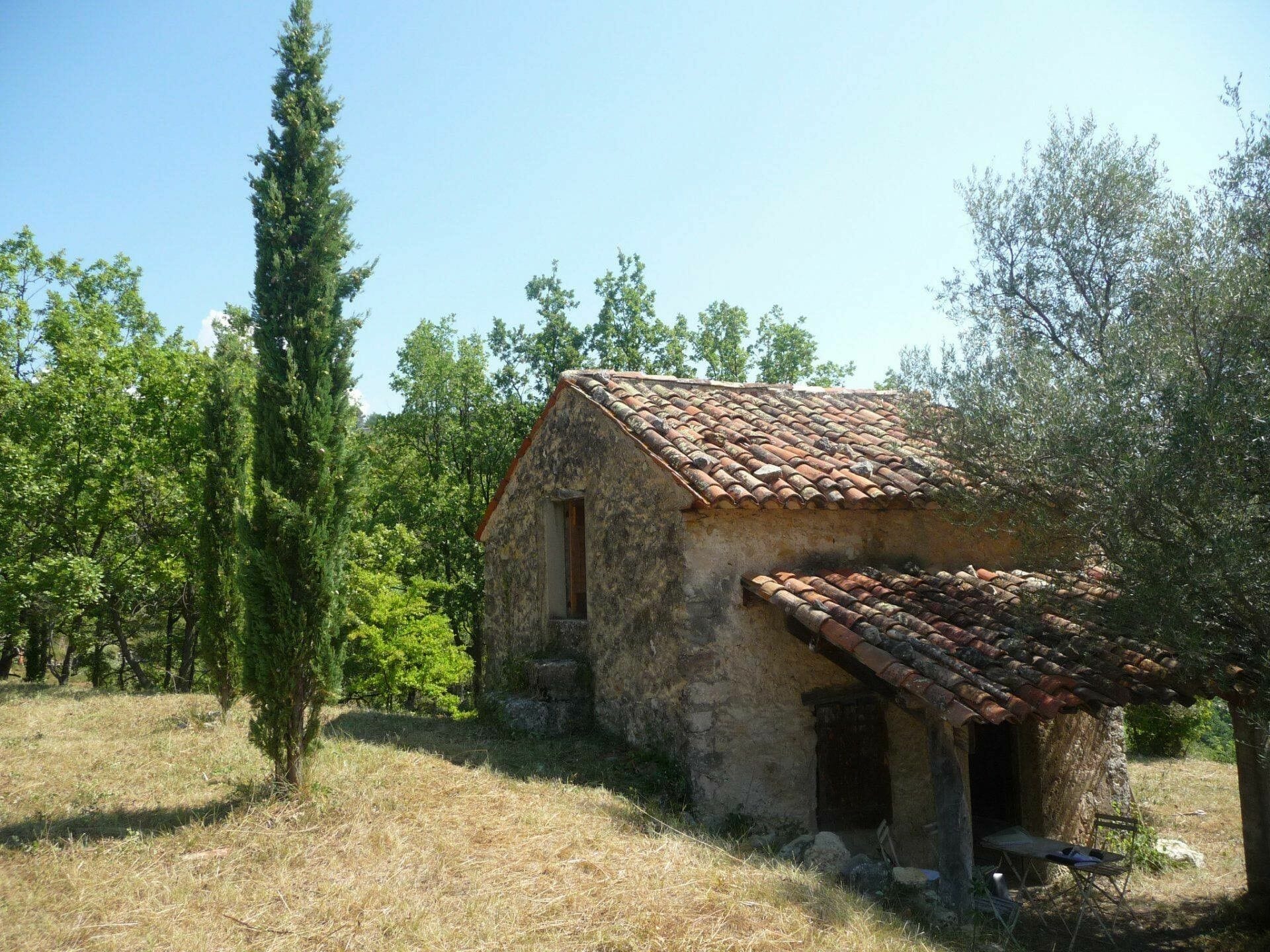 organic fertilizer for grape vines 2