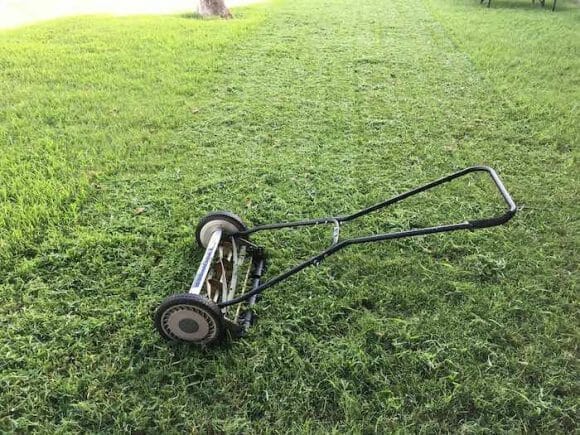 mower for thick zoysia grass 2