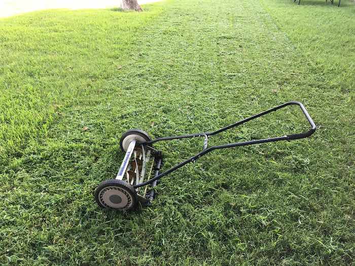 10 Best Lawn Mower For Zoysia In 2023 The Wrench Finder