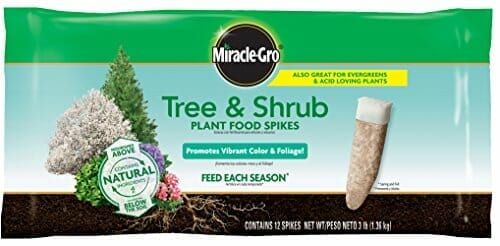 fertilizer for oak tree 2