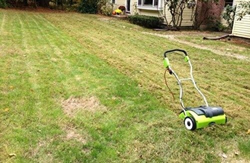 electric lawn mower for st augustine grass 2