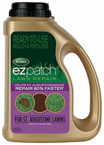 fertilizer for new st augustine sod 1