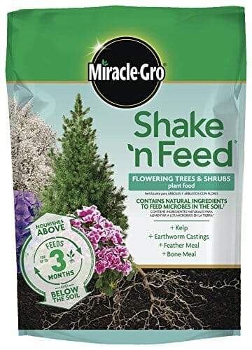 fertilizer for privet hedges 2