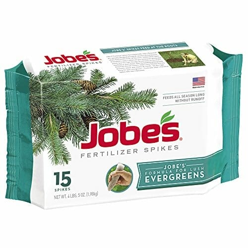 10 Best Fertilizer For Juniper Trees In 2023 The Wrench Finder