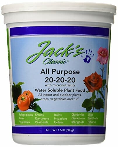 fertilizer for fuchsias 1