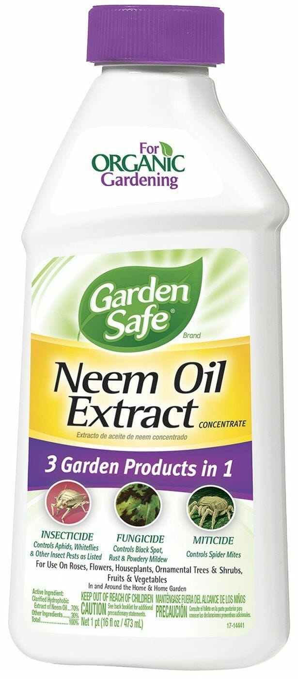 neem oil for weed plants 2