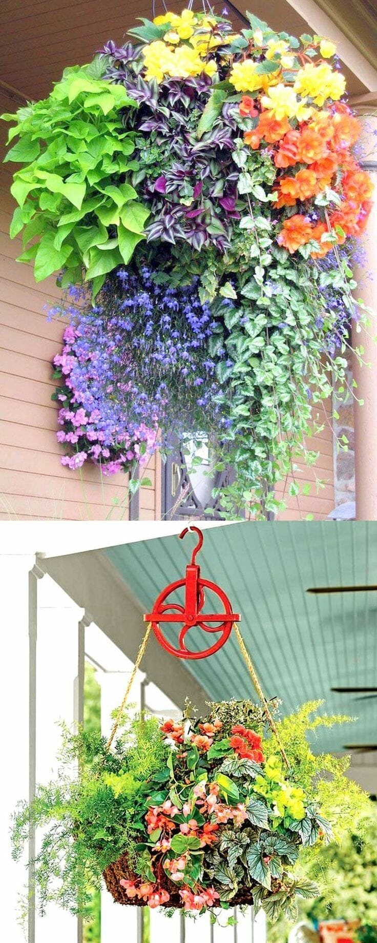 shade plants for hanging baskets 1