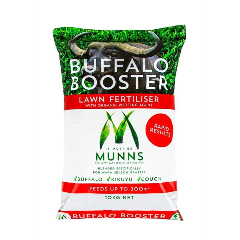 fertilizer for buffalo grass 2