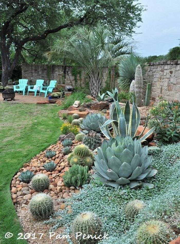 10 Best Outdoor Plants For Austin Texas In 2023 The Wrench Finder