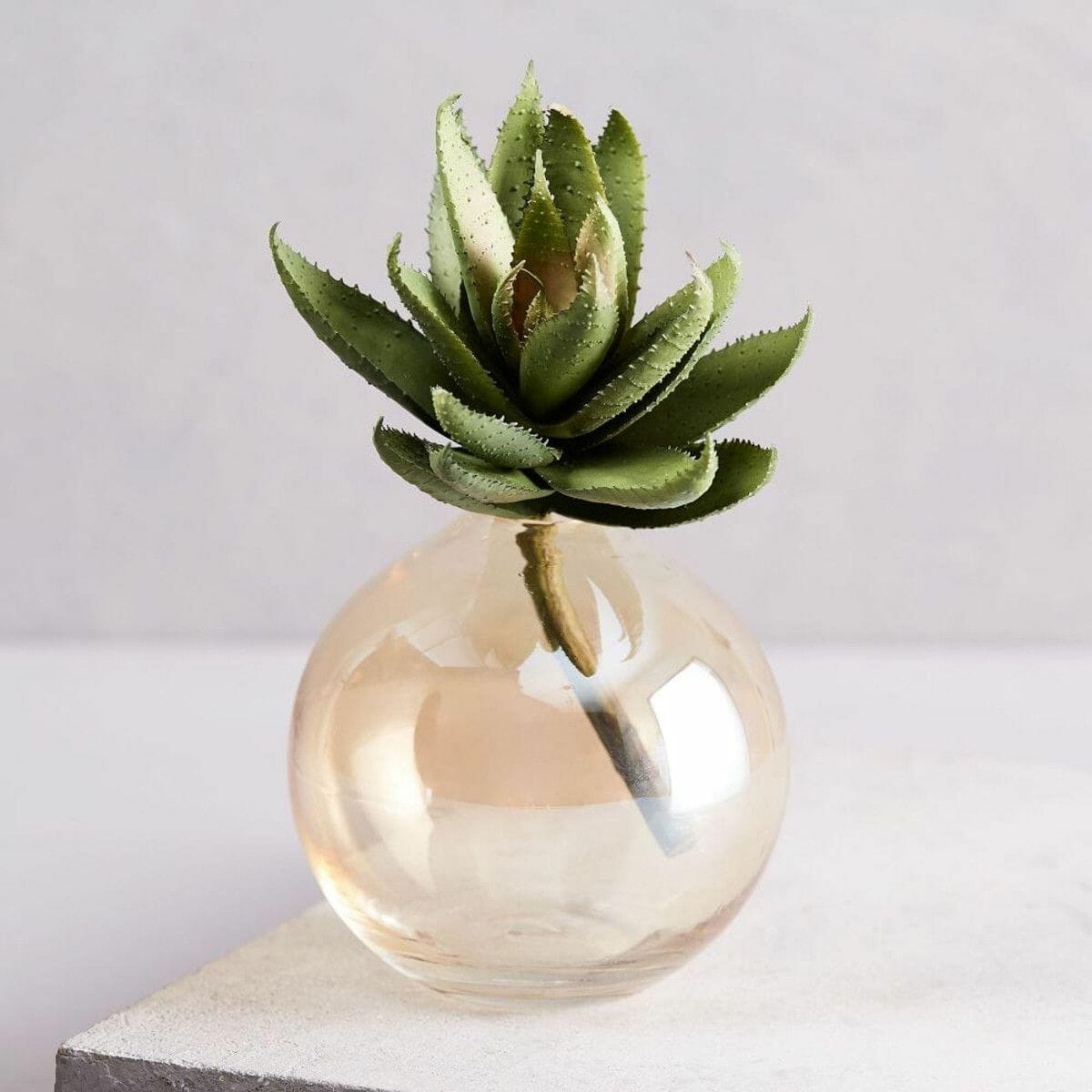 planters for aloe plants 2