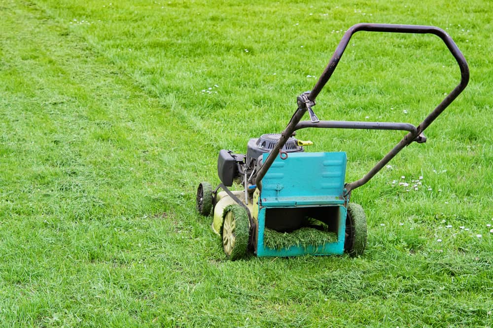 lawn mower for wet grass 2