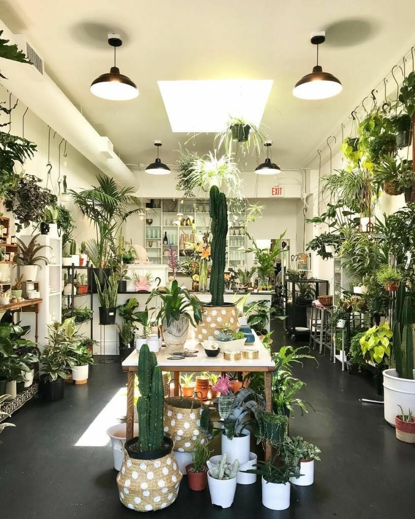 plant shops portland 2