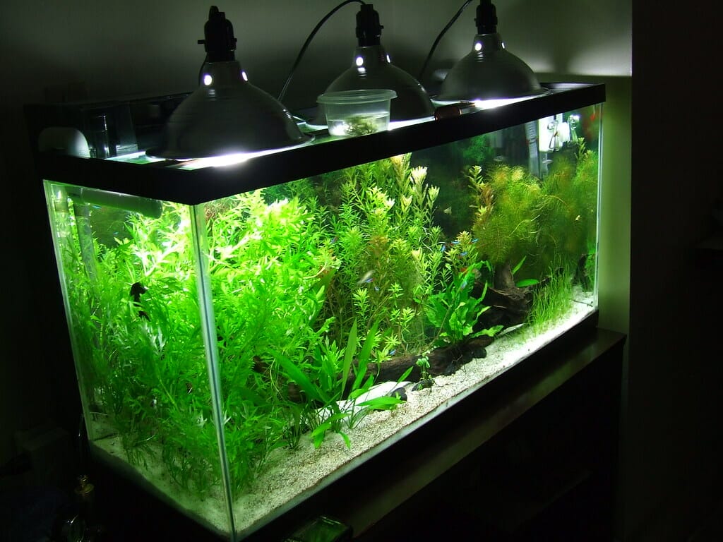 planted tank light 2